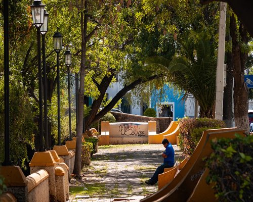 Persona dando un paseo por un parque urbano